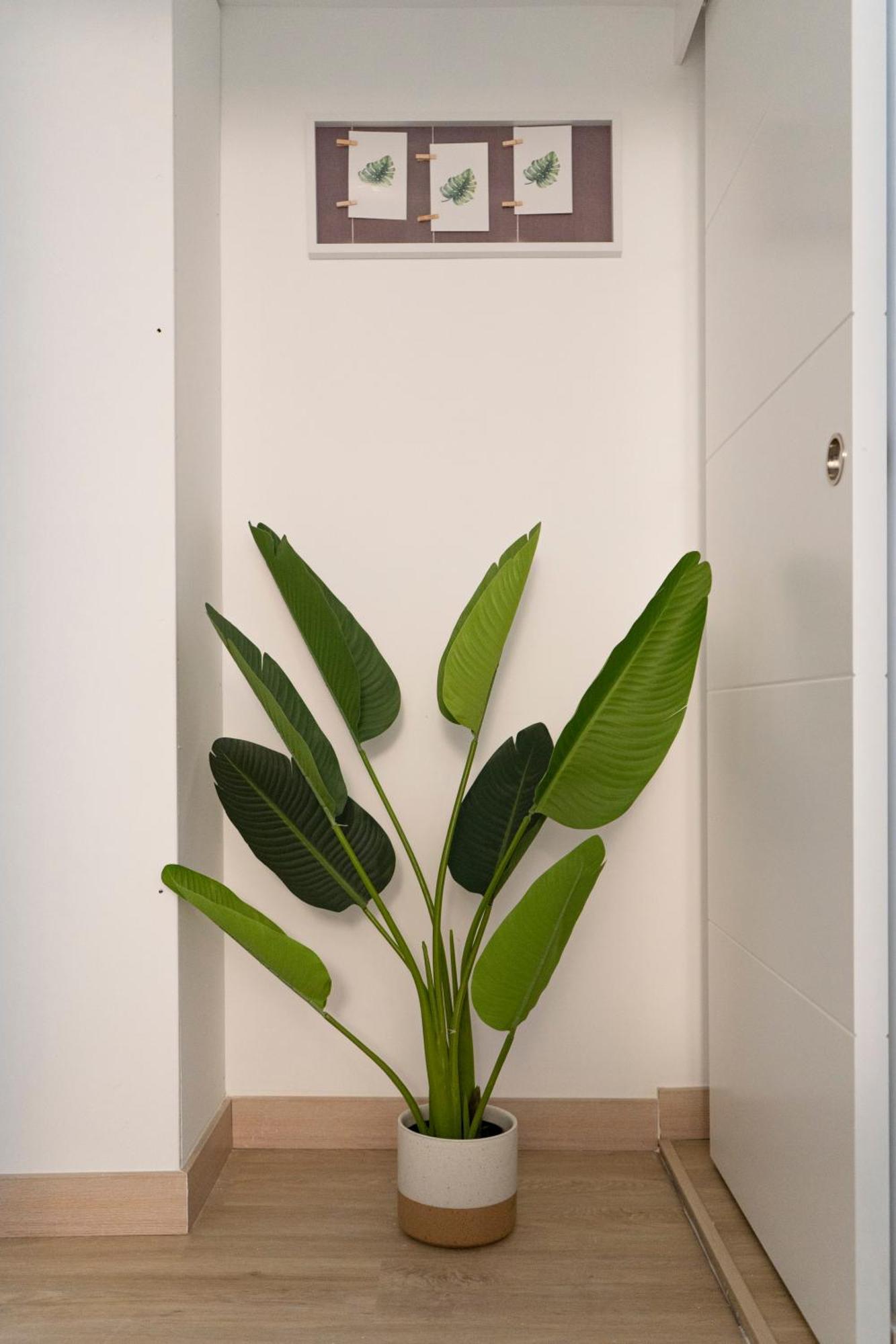 Appartement Oshun Mirasierra Madrid